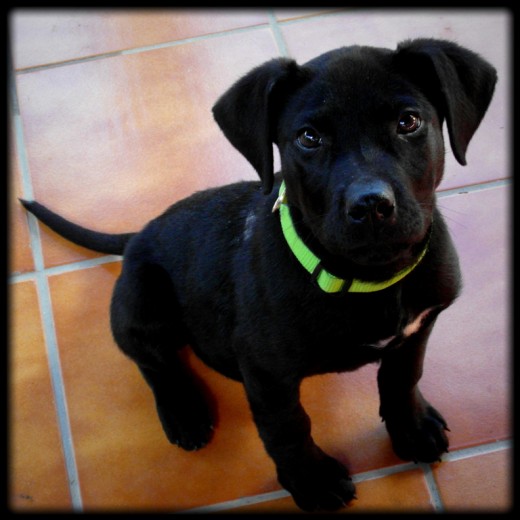 Aqui está mi pequeño!!!! Aqui está mi pequeño!!!!
